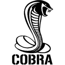 AK-SA-STR Kobra Oto Özel Yeni Sticker 20 cm