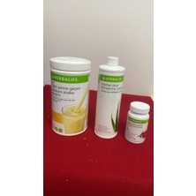 Herbalife Muzlu Shake  Aloe  51GR  Klasik   Çay