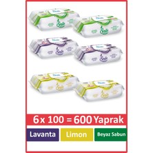 Smile Çok Amaçlı Yüzey Temizleme Havlusu 6 x 100'LU Karma Paket
