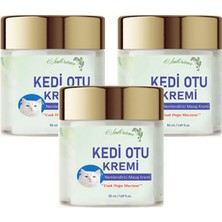 Kedi Otu Kremi 50 ml Kafur Ağacı Yağlı Paincream 3 Adet