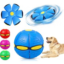 Store Mania Işıklı Zıplayan Frizbi Evcil Hayvan Topu STRMIA-RSTTT34