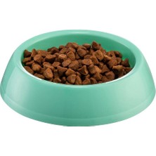 Store Mania Mikopet Küçük Yuvarlak Mama Kabı STRMIA-RSTTT34