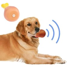 Store Mania Köpekler Için Sesli Oyuncak Tavuk Butu STRMIA-RSTTT34