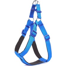 Aesco Köpek Bel Tasması 3cm-75 x 85 cm 3x-Large Mavi