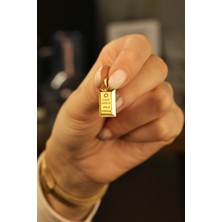 Fay Yamaner Altın Taşlı Külçe Brolog