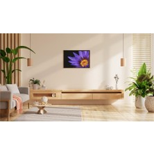 Mor Nilüferin Alevi