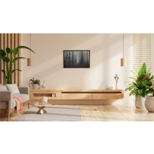 Sis Içindeki Ormanın Sessizliği