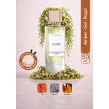 ILLUSIONE Ambre EDP Kadın Parfüm 50ml | Amber-Paçuli-Gül | Bergamot, Sedir, Karanfil, Vetiver