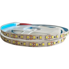Dora Led 240 Ledli Sık Ledli 10mm 12V Gün Işığı Şerit Led Fiyatı