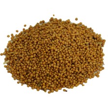 Mg Hardal Tohumu Tane Doğal Sarı 100 gr Paket