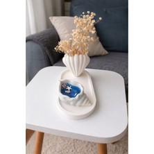 Akanart Deniz Kabuğu Çizgili Vazo ve Kokulu Jel Mum Seti