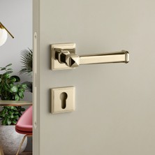 System Kayla Rozetli Kapı Kolu Gold Renk Yale (Dış Kapı Rozetli )