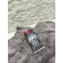 MTYL Taktas Motor Athena 125 Uyumlu Japon Üretim 11 gr Bando Baga