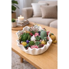 Akanart Kaktüs Bahçesi Kokulu Mum – Doğal Soya Mum