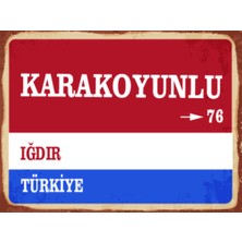 BiveSa Iğdır Ili Karakoyunlu Ilçesi  Retro Ahşap Sokak Tabelası