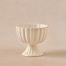 Karaca Daisy Dondurmalık 9,5 cm