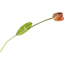 Mikasa Moor Turuncu Pıtırcıklı Yapay Çiçek 90CM