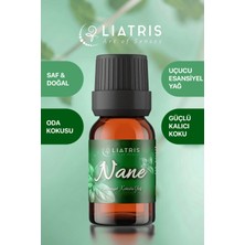 Liatris Nane Esansiyel Uçucu Yağ,hava Nemlendirici,buhurdanlık,oda Parfümü 10ML %100 Saf & Doğal Koku