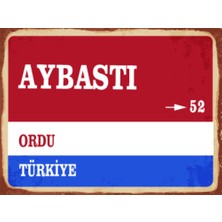 BiveSa Ordu Ili Aybastı Ilçesi  Retro Ahşap Sokak Tabelası