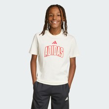 Adidas Sportswear KD3453 STADIUM LETTERING T-SHIRT