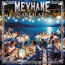 Ati Müzik Meyhane Şarkıları / Haydar Haydar / Gamzedeyim / Vardar Ovası  (11 Şarkı) (Plak)