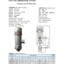Feilun Feılun 160BAR Emniyet Ventili Paslanmaz SS304 G 1/2