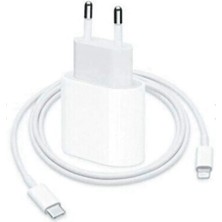 Tactech iPhone 11 Pro Max / 12 / 13 / 14 Pro Uyumlu Lightning 20W Akım Koruma