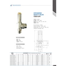 Feilun Feılun Cryogenic Lco2( Karbondioksit ) 22BAR Tank Emniyet Ventili DA22F-40P 15B1 Npt 1/2