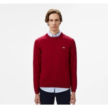 Lacoste Bisiklet Yaka Basic Regular Fit Triko