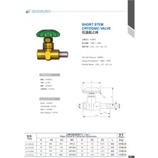 Feilun Cryogenic Short Vana/ Pgs Vanası / DJ10ABB / Kaynak Borulu *10