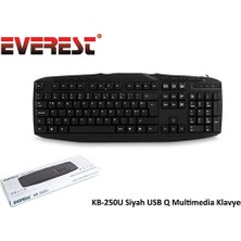 SHC4200 Everest KB-250U Q USB Multimedya Siyah Klavye