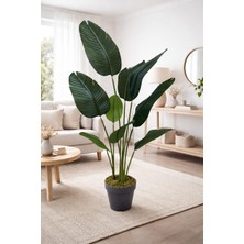 Maki Dekor Yapay Starliçe 140 cm Boyunda 9 Yapraklı Islak Dokulu Dekoratif Salon Ofis Ağacı