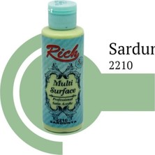 SHC4200 Rich Multi Surface 2210 Sardunya Akrilik Boya 130 cc