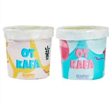 Vento Store Outdoor Outlet Çocuk Hobi Bitkileri Ot Kafa Paketi (Asorti)