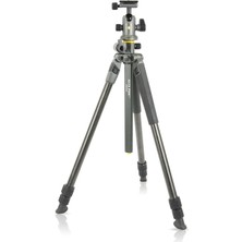 Vanguard Alta Pro 2 + 263CB 100 Karbon Fiber Tripod, Alta BH-100 Küre Başlı ve Çok Açılı Orta Sütun,