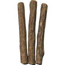 Pawdaz Matatabi - Stick Diş Temizlemeye ve Stres Gidermeye Yardımcı Doğal Oyuncak