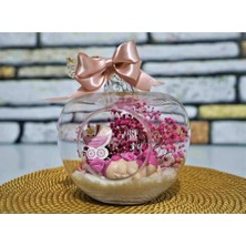 Vento Store Eba Çiçek Mini Elma Uyuyan Kız Bebek-Yeni Doğan-Bebek Hediyesi Teraryum EBA-477