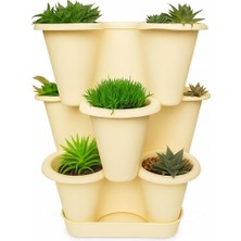 3 Katlı Şanslı Yonca Tasarımlı Dekoratif Saksı Seti, 26.5 x 26.5 Cm, Çiçek ve Bitki Sebze Yetiştirme