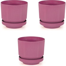 3’lu Plastik Tabaklı Saksı 3 Adet Fuşya, 1,7lt