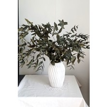 Birlik Okaliptüs Şoklanmış Parvifolia Ince Yaprak Şoklanmış Yeşil-Gri  55-65 cm