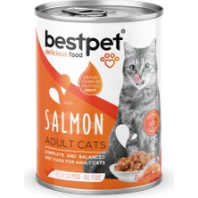 Vento Store Bestpet Yetişkin Kediler Için, Taze Somon Parça Etli ve Soslu Yaş Mama, 400 G x 12 Adet