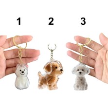 Exelox Tüyona Köpek Hatıra Anahtarlığı (Istediğiniz Modeli Sipariş Sorulardan Iletiniz)