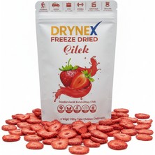 Drynex Dondurularak Kurutulmuş Çilek