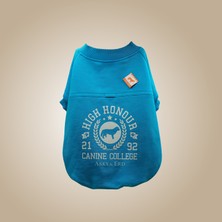 Asky&Erd Canine College High Honour Sweatshirt | Turquoise Sprint