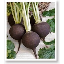 Tarım Yerli Doğal Siyah Turp Tohumu 500 Adet Tohum