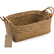 Rattan Raf Sepetleri Seagrass Saplı Depolama Sepeti Raf Sepetleri Doğal Dokuma Oval 3'lü Paket (Büyük+Orta+Küçük)