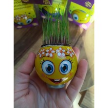 Çimoji 47'li Tek Tek Kutulu Hediyelik Eğitici Oyuncak Çimadam Çimoji