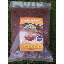 Toprağı 2,5 Lt Ithal Torf Perlit Kırmızı Pomza Lav Taşı Karışımlı Özel Bonsai Toprak