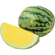 Paket 10 Adet Tohum Ithal Nadir Sarı Karpuz Tohumu