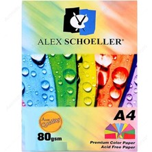Schoeller A.FTK.KGT.450.02 Fotokopi Kağıdı -Renkli Karışık - A4 - 621